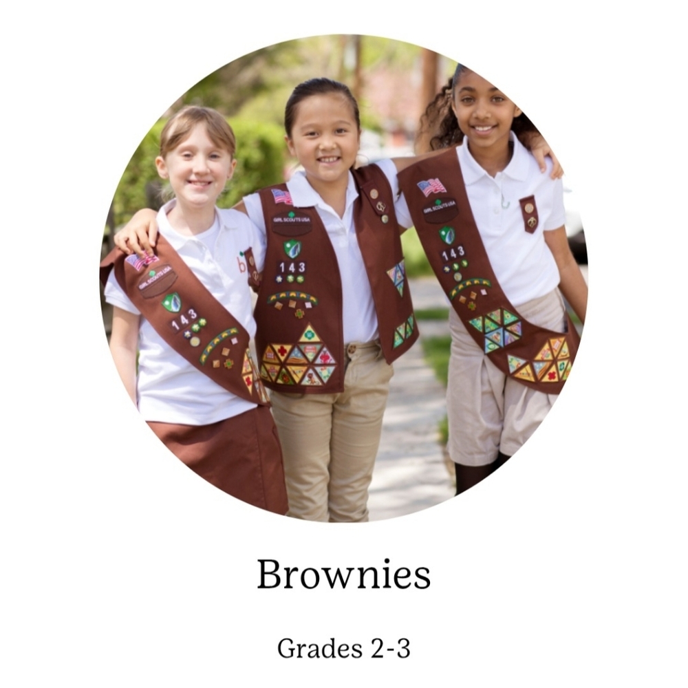 Brownie Girl Scouts Vest Troop 343 Los Angeles Med. 10-12 - Picture 2 of 10